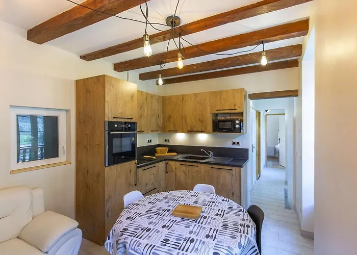 Apartment Renove Pour 8 Avec Wifi A - Fr-1-401-250 *